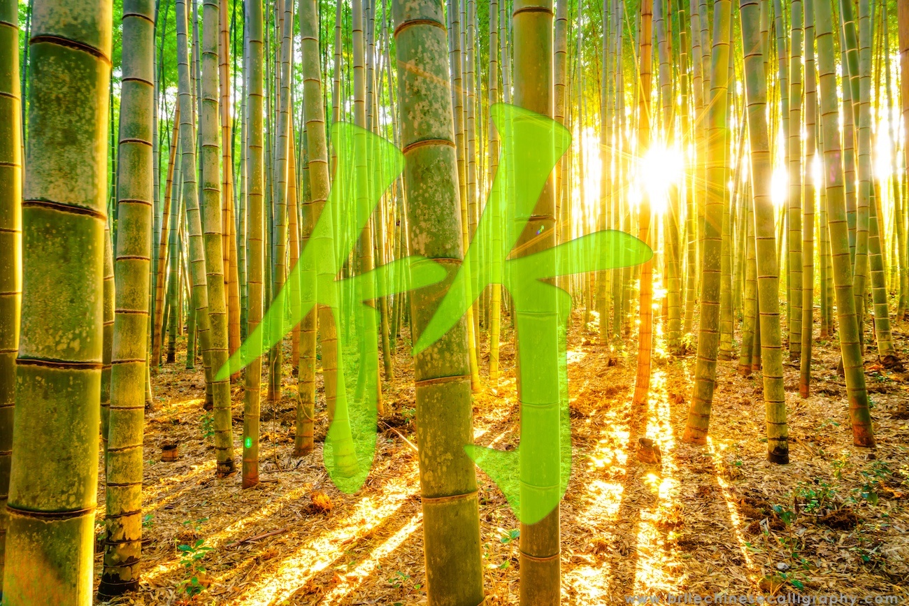 5 Facts about Chinese Bamboo | BelleChineseCalligraphy.com