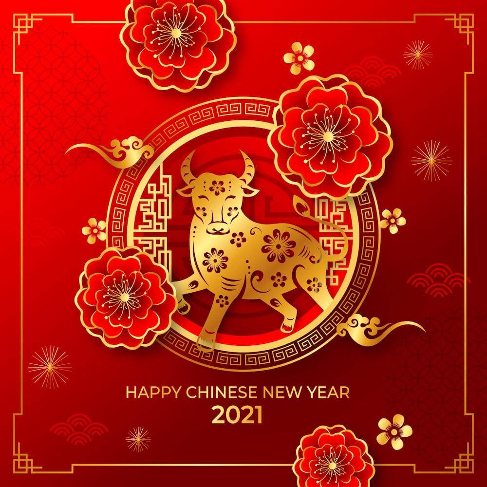 Belle Chinese Calligraphy Chinese New Year 2021